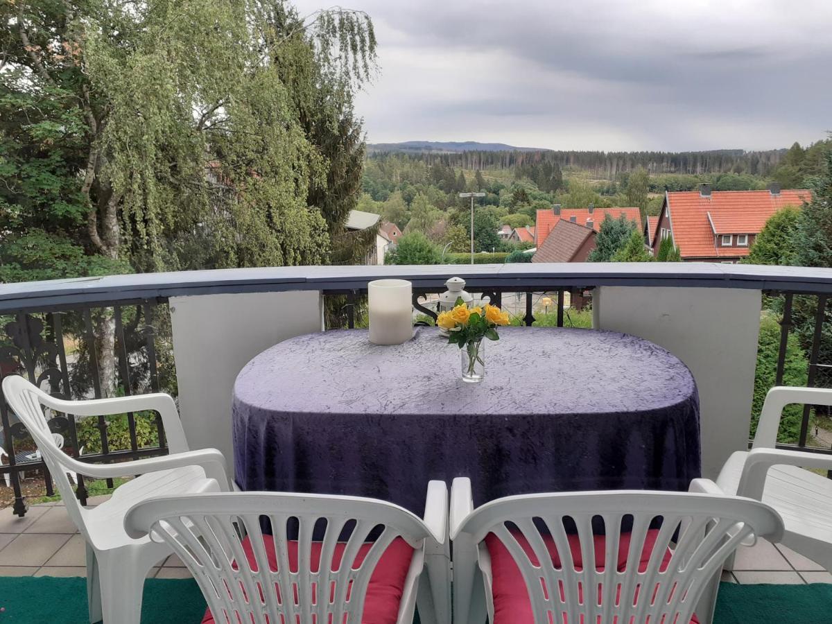 Villa Tannerhof ブラウンラーゲ エクステリア 写真